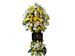 Standing Flower Purba Tua