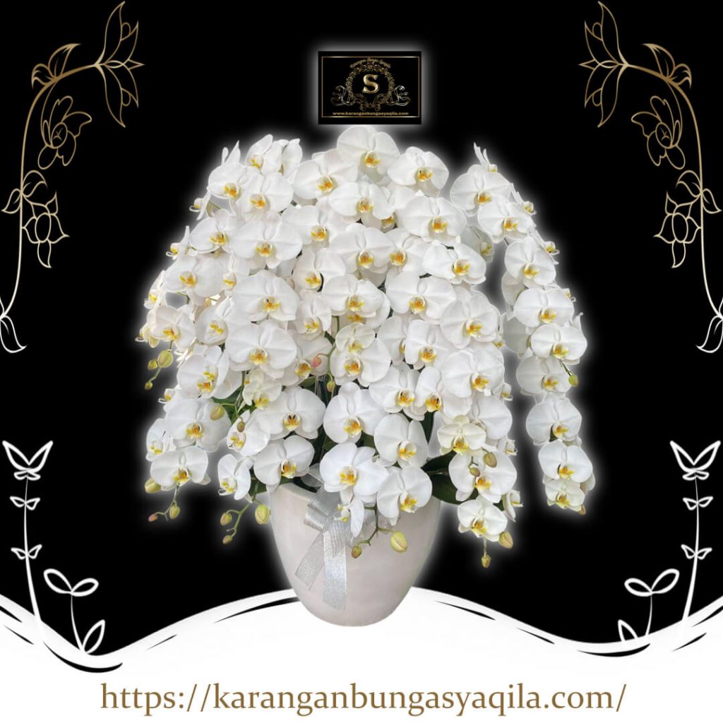 Bunga Meja Bojong Pandeglang