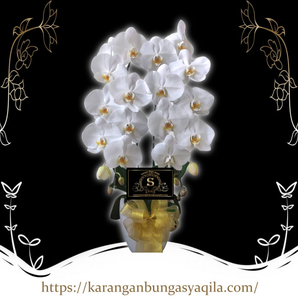 Bunga Meja Wilayah Cikulur